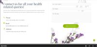 Web Design Auckland image 6